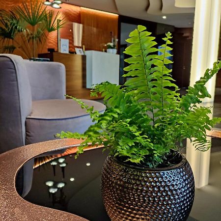 Bazuny Hotel&Spa Косьцежина Екстер'єр фото
